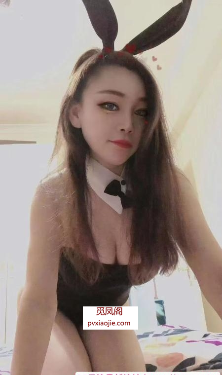 宝安翻身小肥猫