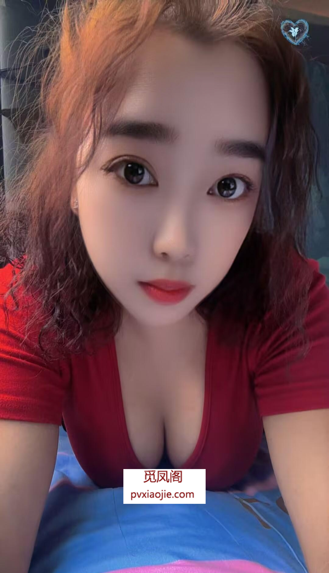 奉贤区可爱姎婷