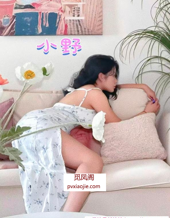 170兼职女友小野